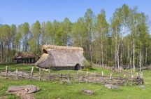 The Stockholm Bronze Age public tour