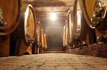 Douro Valley wine tour with 2 wineries, lunch and river cruise