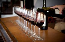 Douro Valley wine tour with 2 wineries, lunch and river cruise