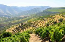 Douro Valley wine tour with 2 wineries, lunch and river cruise