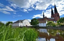 Viking history 3-hour public tour