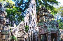 Full-day Angkor Temple Complex private tour