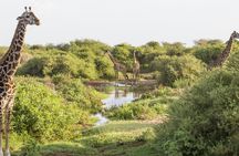 Canoeing at Lake Manyara National Park from Arusha