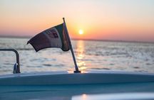 Half-day Lake Garda castles boat tour and wine tasting in Bardolino
