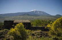 Etna and Alcantara tour from Taormina