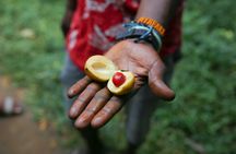 Zanzibar spice plantation, cave, and village adventure private tour