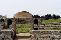 Guided Tour of Paestum's Archeological Area