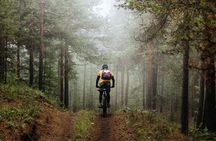 Mountainbike adventure in the Swedish forest