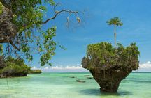 Zanzibar Uzi Island private tour