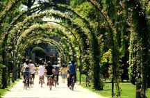 Madrid green bike tour