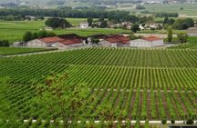Cognac vineyards and distilleries half-day private tour from Charente