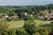 Vineyard and craft distilleries private day tour from Cognac