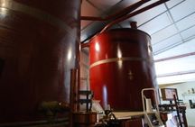 "3 facets of the Cognac country" private tour from Angouleme