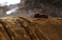 "3 facets of the Cognac country" private tour from Angouleme