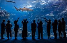 Tickets to ZooQuarium in Tampa