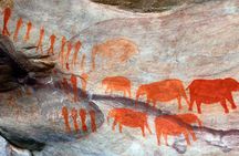 Drakensberg World Heritage full-day tour from Durban