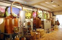 West Coast and Countryside full-day shared excursion from Nice