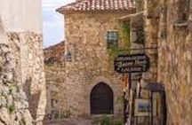 Monaco and Perched Medieval Villages shared trip from Nice