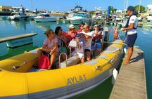 From Vilamoura: Benagil Caves and Dolphins Boat Tour