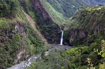 Presidente Figueiredo Waterfalls guided excursion with lunch