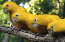 Bird Park guided tour with transportation