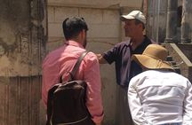 Herculaneum guided tour with an archeologist