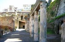 Herculaneum guided tour with an archeologist