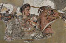 Guided Tour of the National Archaeological Museum of Naples with an archaeologist