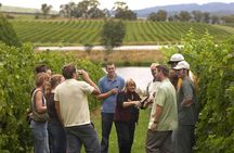 Visit to Two Wineries in La Rioja from Logroño with Tasting and Tapas