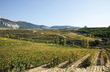 Visit to Two Wineries in La Rioja from Logroño with Tasting and Tapas