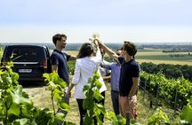 Afternoon Hautvillers and family growers from Reims