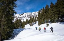 Private snowshoeing tour in Janosik Gorge