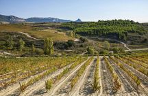 Visit to two wineries in La Rioja with pintxos from Bilbao