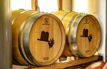 Txakoli wine house visit with tasting in a small-group