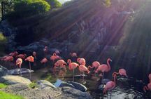 Buenos Aires Bioparque Temaiken ticket with transfer