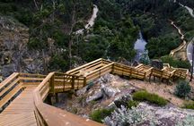 Paiva Walkways full-day tour from Porto