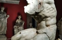 Vatican VIP day tour
