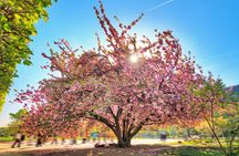 Walking tour of the Jardin des Plantes (Botanical Garden)