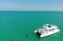 Key West dolphin watch and snorkeling sunset cruise