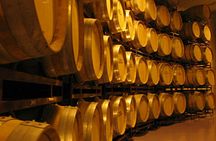 Winery Visit in La Rioja from Pamplona with Tasting and Lunch
