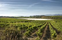 Tour to Two Wineries in La Rioja from Pamplona