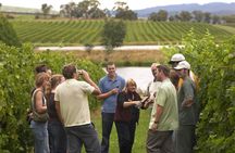 Tour to Two Wineries in La Rioja from Pamplona