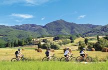 Tuscany by bike and saffron tasting
