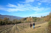 Hike and wine tour
