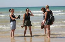 Great Ocean Road sunset tour