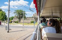 Panorama tour of Dresden with mountain railway and hop-on hop-off bus