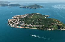 Istanbul Princes' Island tour