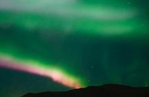 Whale watching and northern lights tour from Reykjavik