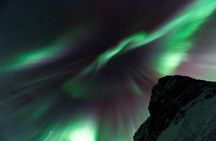 Whale watching and northern lights tour from Reykjavik