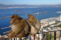 Day trip to Gibraltar from Granada